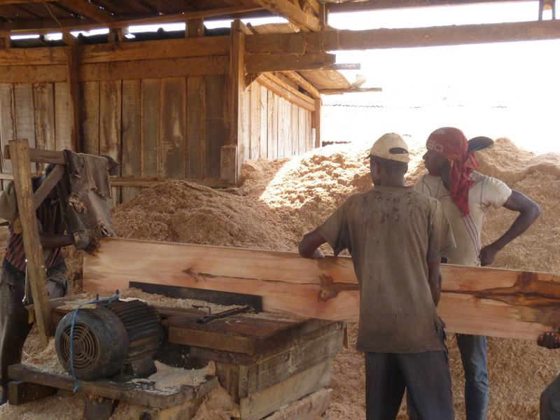 …et développé une économie locale du bois performante offrant des recettes à l’Etat et de l’emploi à la jeunesse./Photo-DR
