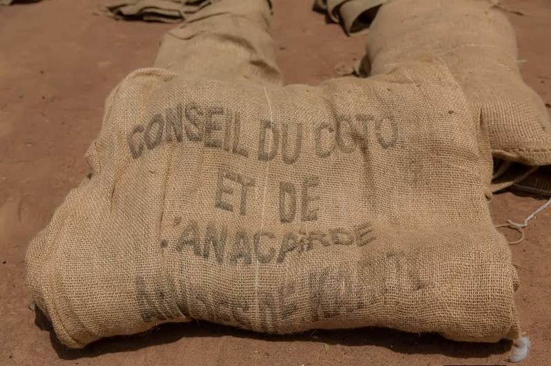 Ces sacs en jute sont les seuls autorisés pour le conditionnement des noix de cajou séchées.