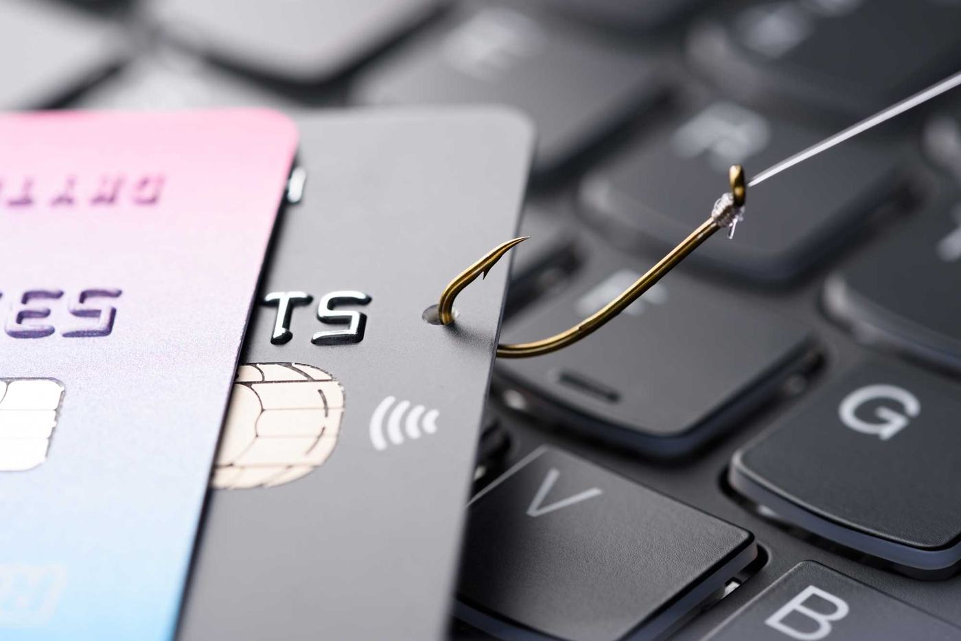 Les personnes victimes d’escroquerie sur internet doivent saisir la PLCC /Photo-DR