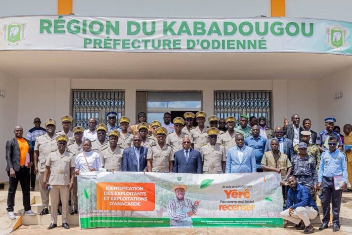 Séance de sensibilisation sur l’identification des producteurs d’anacarde à Odienné